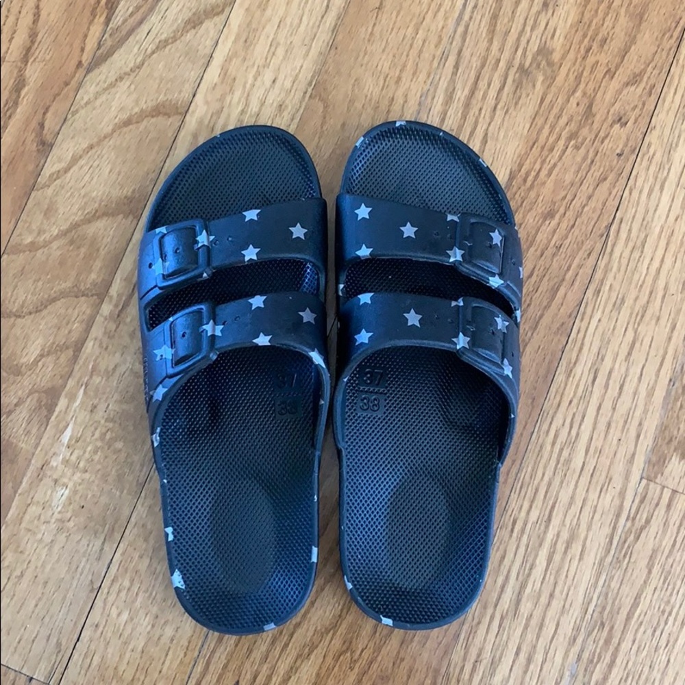 Freedom Moses Slides